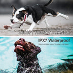 Intelligent Remote Control Dog Trainer Automatic Barking Stop Collar, Collar Black, Collar White – Waterproof
