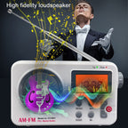 SY-8801 Portable Retro Radio HD LCD Screen Weight Bass Short Wave Radio, SY-8801