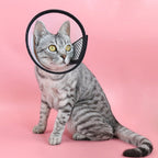 Pet Protective Headgear Cat And Dog Anti-Bite Collar After Cosmetic And Operation, Size: No.7/8cm, No.6, No.5, No.4, No.3 No.7