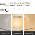 WiFi Bluetooth 2.4G Remote Control LED Ceiling Light, Voltage:, EU Standard 220V-240V, US Standard 110V-130V – Waterproof, Bluetooth