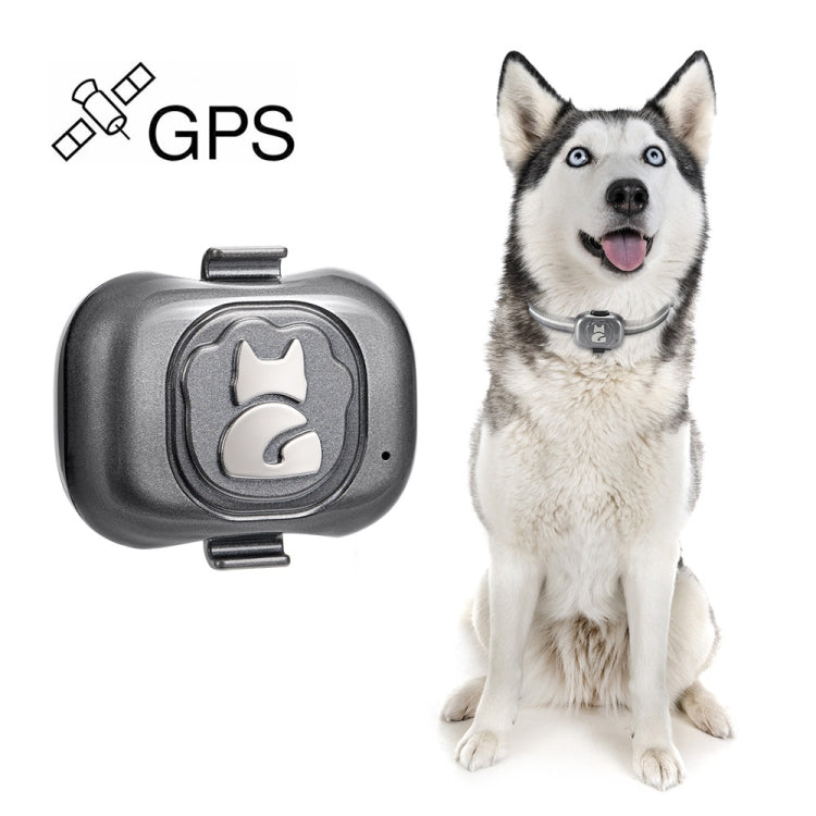 G16 Pets GPS Tracker IP67 Waterproof Smart Collar Anti-lost Tracking for Dog Cat, G16 Pets GPS – Waterproof, Card Slot G16 Pets GPS
