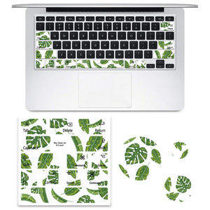 Leaves