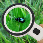 JHS407 30X Handheld HD Magnifier With LED Light, 80mm 30X