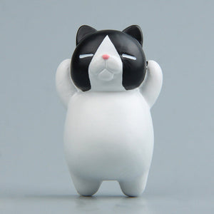 Black and White Cat
