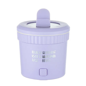 US Plug Purple