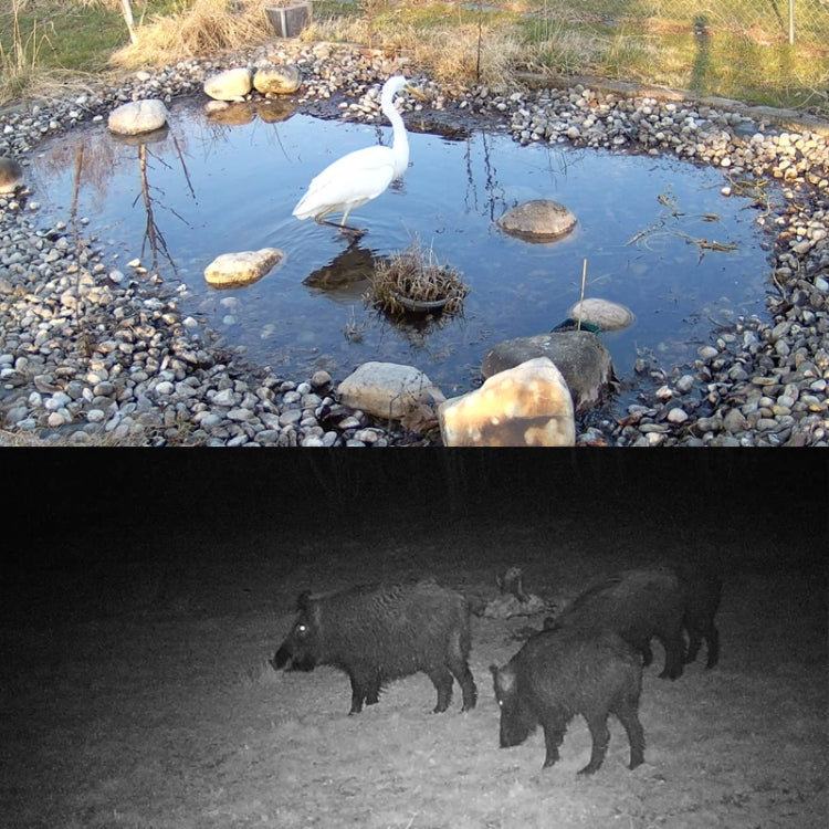 HC-801Pro 4K 4G Outdoor Hunting Camera App Remote Mobile Phone Control To View Photos And Video At Any Time, EU Plug, US Plug, AU Plug