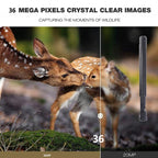 HC-801Pro 4K 4G Outdoor Hunting Camera App Remote Mobile Phone Control To View Photos And Video At Any Time, EU Plug, US Plug, AU Plug
