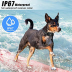 Smart Remote Control Dog Trainer Stop Barker Waterproof Vibration Collar, 669N-1, 669N-2 – Waterproof, Magnetic, Fast Charging
