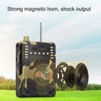 48W Wireless Bluetooth Voice Amplifier with Remote Control Supports USB/TF Card Playback, EU Plug, UK Plug, AU Plug, US Plug