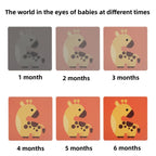 20pcs /Book Baby Early Learning Card Children Eye Care Visual Stimulation Card, 1-order Black And White, 2-order Black And Red, 3-order Color, 4-order Real Object