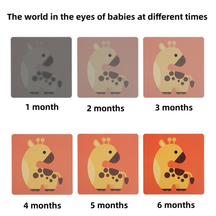 20pcs /Book Baby Early Learning Card Children Eye Care Visual Stimulation Card, 1-order Black And White, 2-order Black And Red, 3-order Color, 4-order Real Object