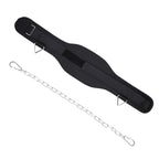 Pull Up Weighted Belt Lumbar Strength Training Double Bar Arm Extension Weighted Belt, Paste+70cm Iron Chain+2 Hooks, Metal Buckle, Double Layer Paste+70cm Iron Chain+2 Hooks Paste+70cm Iron Chain+2 Hooks