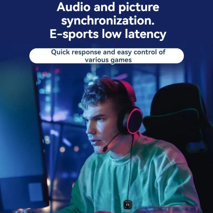 5.8G Wireless In-ear Monitor System Support Dual-Earphone Monitoring, One To Two, One To Four – TPU