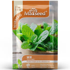 Herb Collection Spice Seeds, New / Old Packaging Ships Randomly, Cedarwood, Thyme Cedarwood