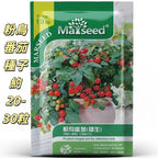 MARSEED 20-30pcs /Pack Potted Dwarf Pink Bird Tomato Seeds Default Title