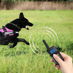 T720 1000m Pet Intelligent Electric Shock Remote Control Dog Training Device, Yellow Remote, Red Remote