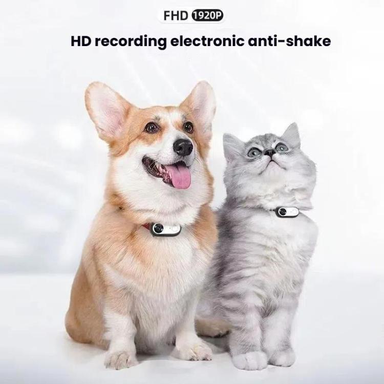 Pet Recorder With Collar Cat Dog View Camera, Direct Record No Memory Card, Direct Record With 16G Memory Card, Direct Record With 32G Memory Card, Direct Record With 64G Memory Card, Direct Record With 128G Memory Card, WiFi No Memory Card            ...