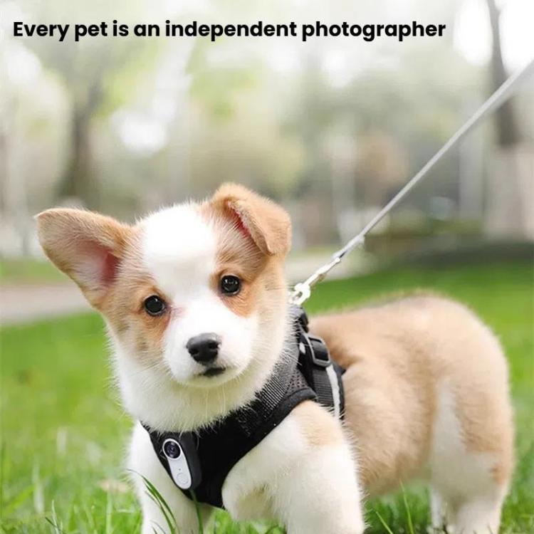Pet Recorder With Collar Cat Dog View Camera, Direct Record No Memory Card, Direct Record With 16G Memory Card, Direct Record With 32G Memory Card, Direct Record With 64G Memory Card, Direct Record With 128G Memory Card, WiFi No Memory Card            ...
