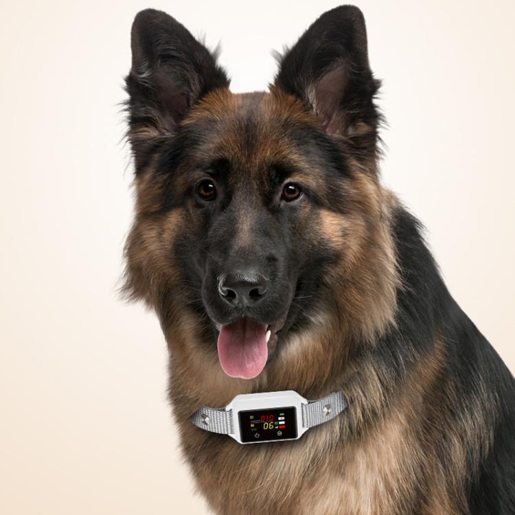 B800 Smart Anti-Bark Collar Electric Shock Dog Trainer With Color Screen & Anti-False Trigger, IP68 Waterproof, Magnetic Charging, Electric Shock Gray, Electric Shock Black