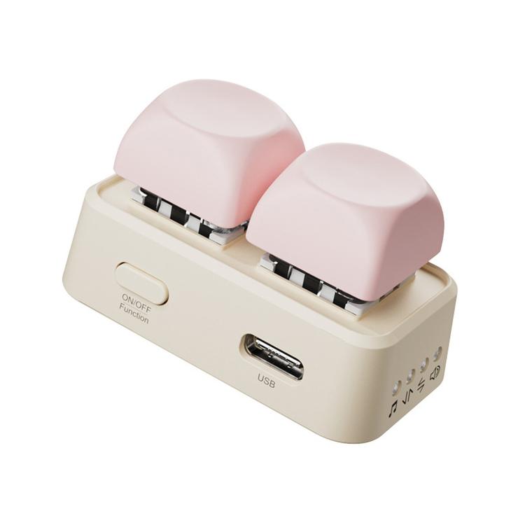 Hanlinyue 2-Key High-Speed Switch Keyboard Bluetooth Page Turner, Pink For KOBO, Pink For Phone, Pink For E-book, Purple For Phone, Purple For E-book, Purple For KOBO, Green For KOBO, Green For Phone, Green For E-book, Orange For Phone, Orange For...