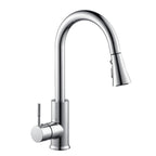 Kitchen Horn Button Switch Pausable Faucet Sprinkler Water Saving Nozzle Sprayer Filter, Plating CP, Drawing BN