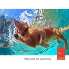 500m Dog Training Bark Stopper Remote Control Electric Shock Waterproof Electronic Collar