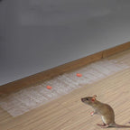 Anti-rodent Strong Sticky Board Transparent Sticky Mouse with Mousetrap Glue, Long Transparent Long Transparent