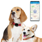 RF-V43 A Style IP67 Waterproof GPS + LBS + WiFi Pet Locator Pet Collar Tracking Device For Asia/Europe/Africa/Australia, RF-V43 A Style (Black), RF-V43 A Style (White) RF-V43 A Style (Black) Black