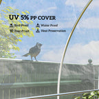 6 X 10m UV Resistant Waterproof Plastic Polytunnel Cover, Clear