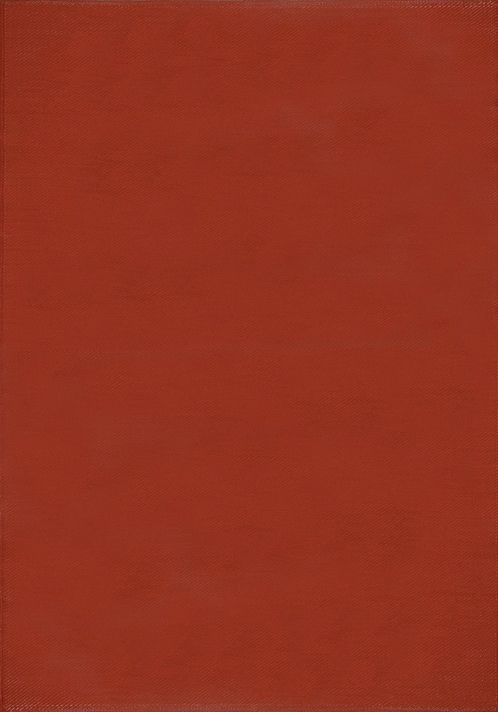 Urban Outdoor Rug Terra 240X340 cm