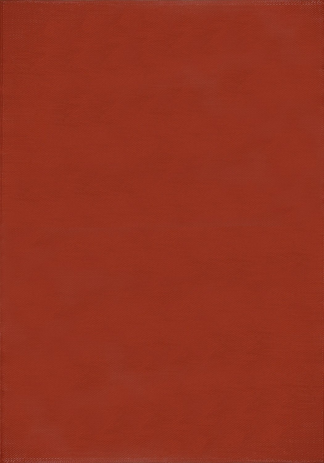 Urban Outdoor Rug Terra 240X340 cm