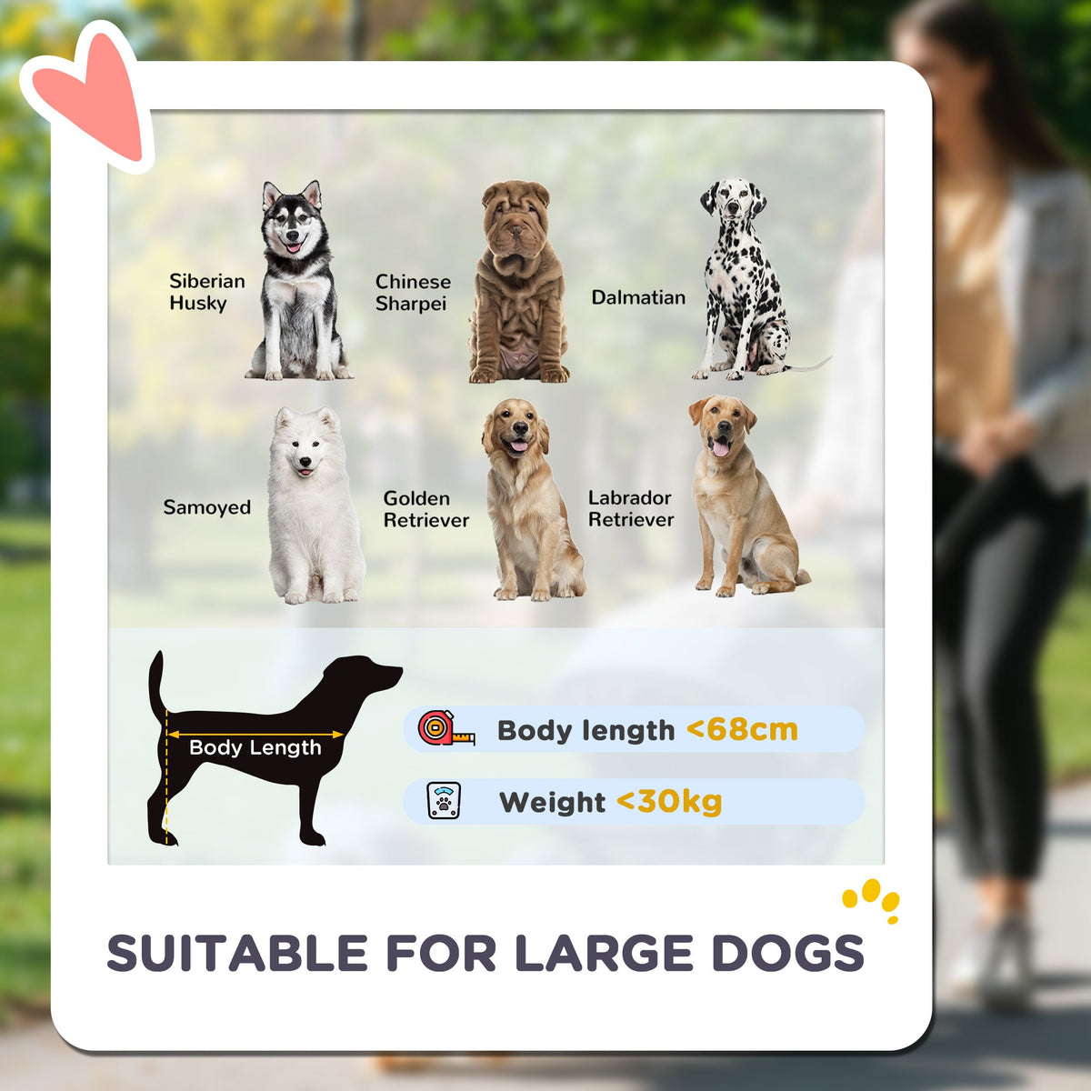 Easy Folding Pet Stroller for Large Dogs