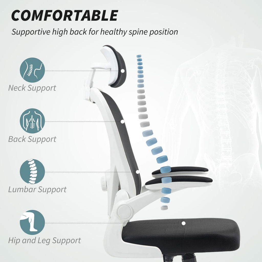 Executive Mesh Office Chair with Headrest, Lumbar Support