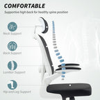 Executive Mesh Office Chair with Headrest, Lumbar Support