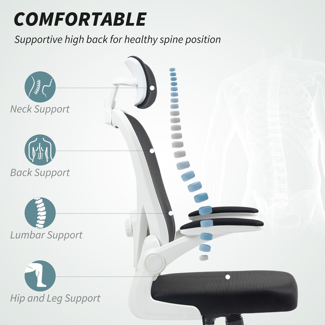 Executive Mesh Office Chair with Headrest, Lumbar Support