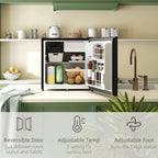 46L Counter Top Fridge Mini Fridge with Lock Chiller Box