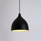 Restaurant Chandelier Simple Modern Single-head Dining Table Lamp Fashion Aisle Living Room Bar Black