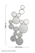Large Silver Multi Circle Wall Mirror