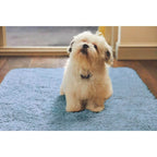 Washable Blue Shaggy Rug