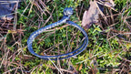 Bushmen Soft Shackle - Black