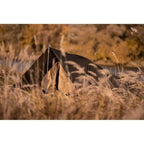Bushmen Lodger Core Tent - Various Colours