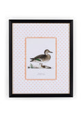 Duck II Framed Print - Utterly Adorable Wall Art