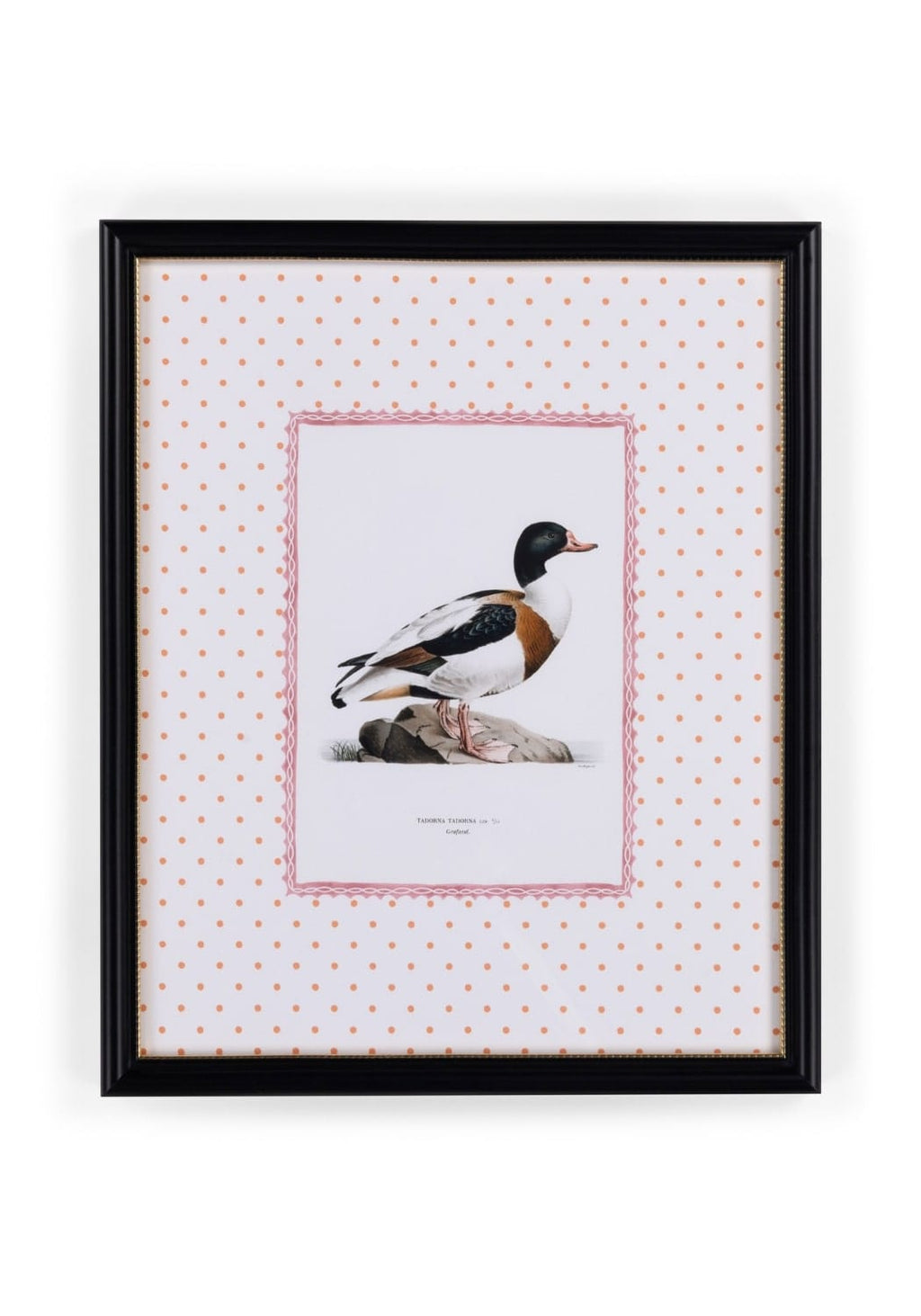 Duck IV Framed Print- The Prettiest By Far