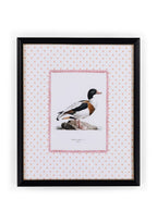 Duck IV Framed Print- The Prettiest By Far