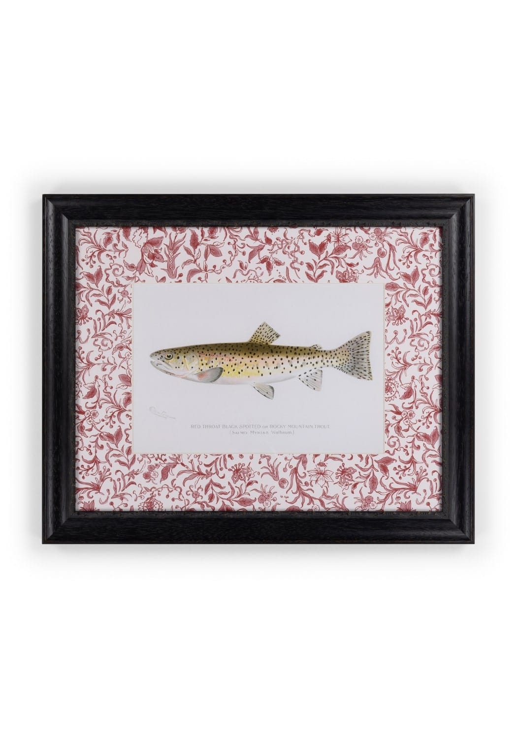 Fish II Framed Print- A Quiet Classic with Personality