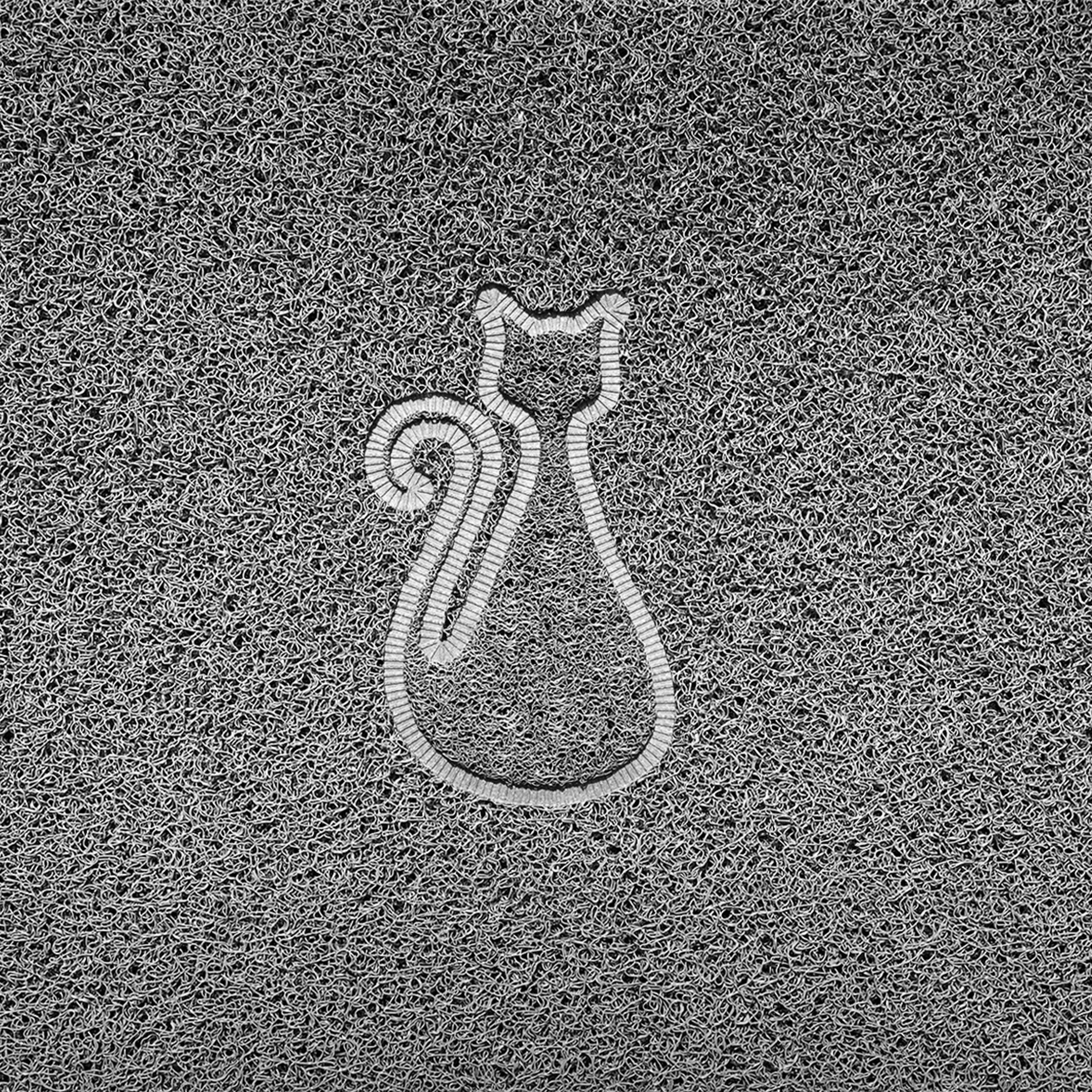 Cat Embossed Spaghetti Doormat