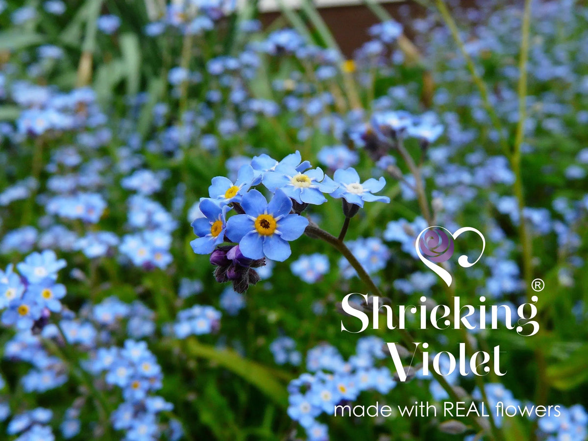 Forget-Me-Not Vertical Bar Drop Earrings