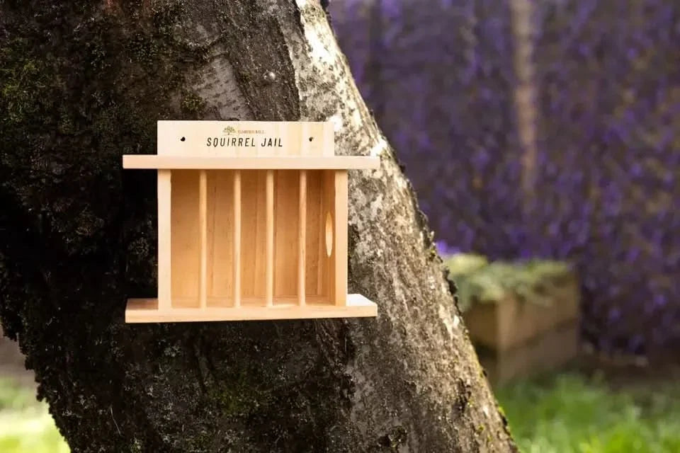Wooden Bird and Squirrel Feeder Hanging Wildlife Feeding Station