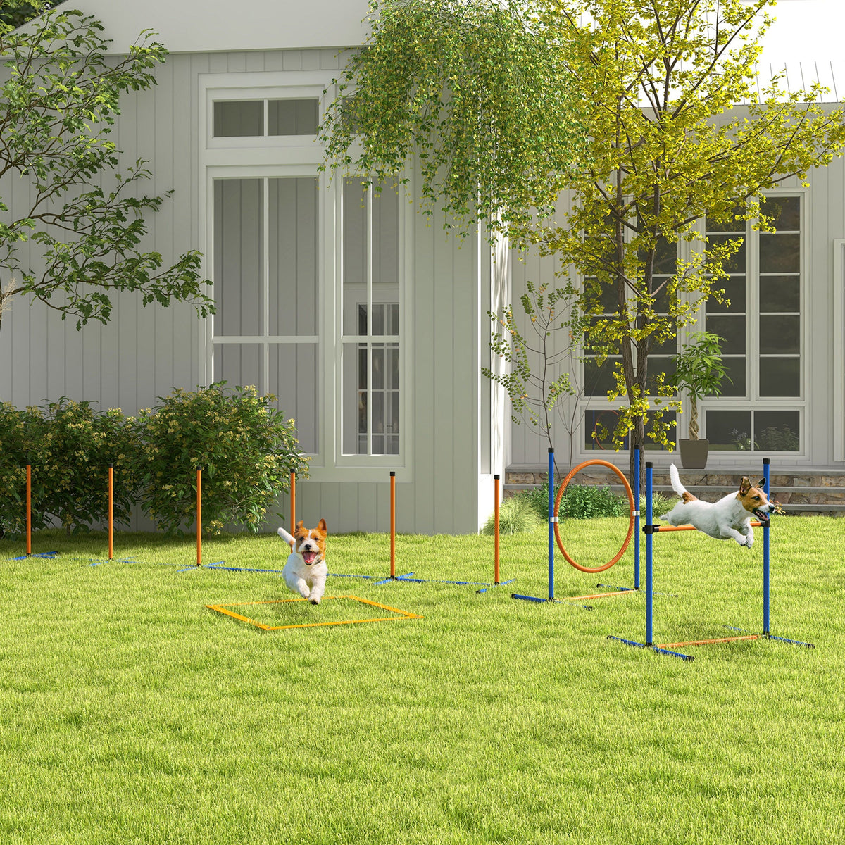 4 Pcs Dog Agility Training Equipment, Dog Outdoor Games w/ Carry Bag