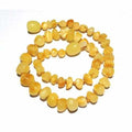 Adult Ambrosia Polished Butterscotch Baltic Amber Anklet